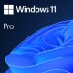 WINDOWS PRO 11 32/64BIT ESP USB
